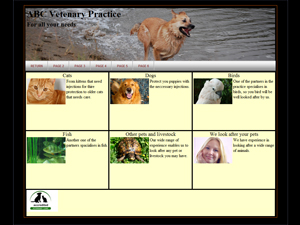 Example Site 001